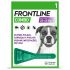  Frontline Combo Cão 20-40Kg 1 Pipeta