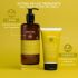 Apivita Frequent Use Gentle Daily Shampoo 500 ml