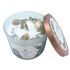 Spiritual Gifts - Vela Aromática com Pedras Crescimento Interior - Mint