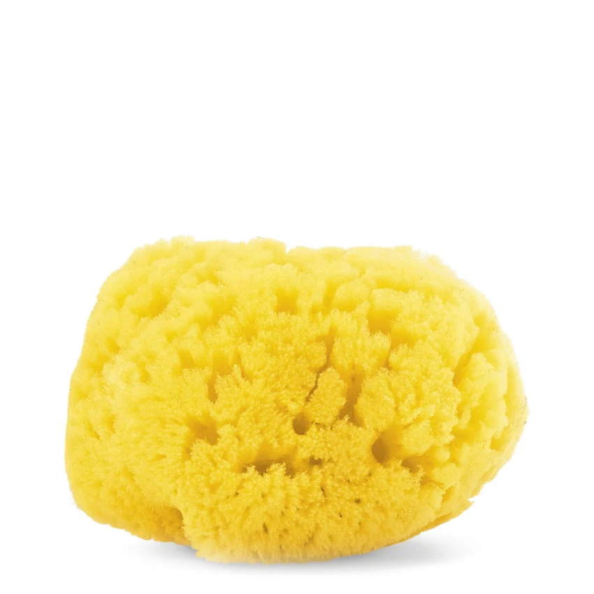 Chicco Esponja Natural Média 0+ 